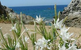 Giglio di mare Marzamemi